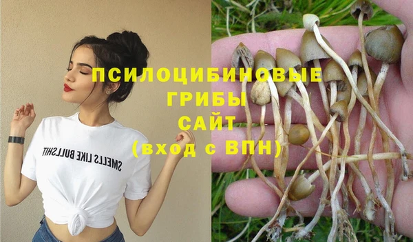 спайс Осинники