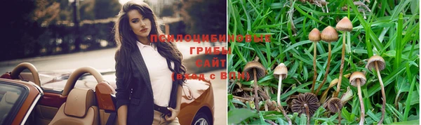 стафф Валдай