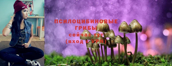 mix Осташков