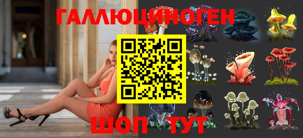 Большой Камень  Псилоцибиновые грибы Magic Shrooms  Вход с VPN 