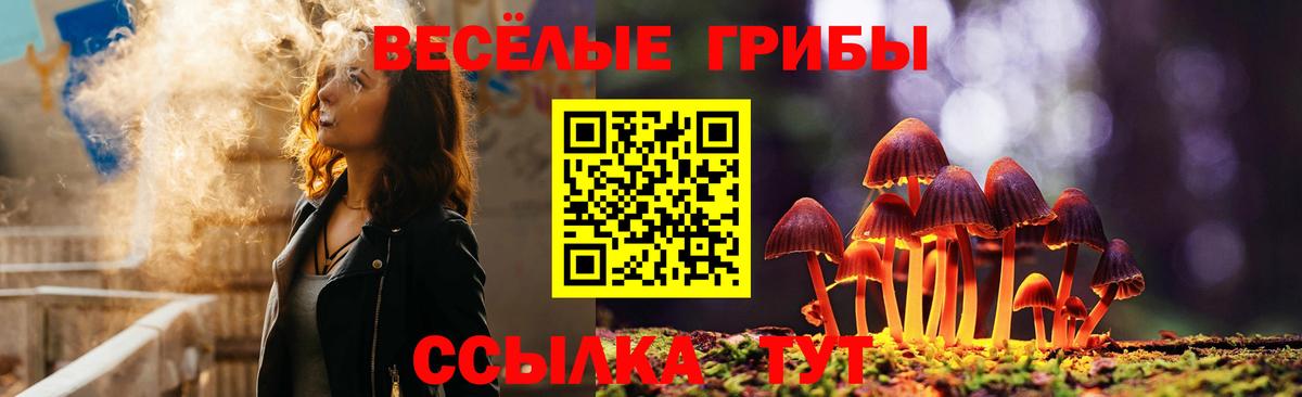 Галлюциногенные грибы MAGIC MUSHROOMS  Большой Камень  Галлюциногенные грибы Psilocybe 
